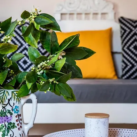 Petradi Town 아파트 스코펠로스 타운